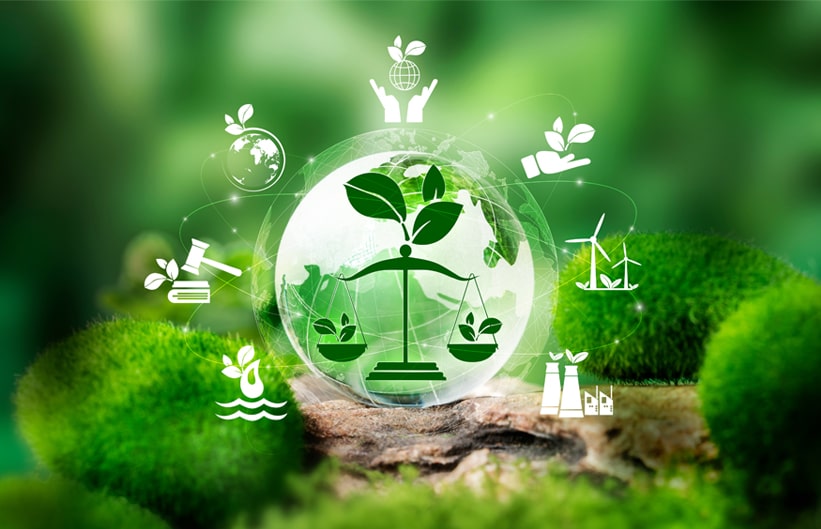 ilr-Environmental-Policy.jpg
