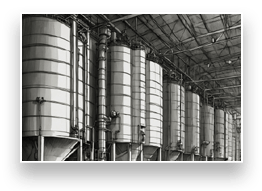 Bottom left overlay image cap