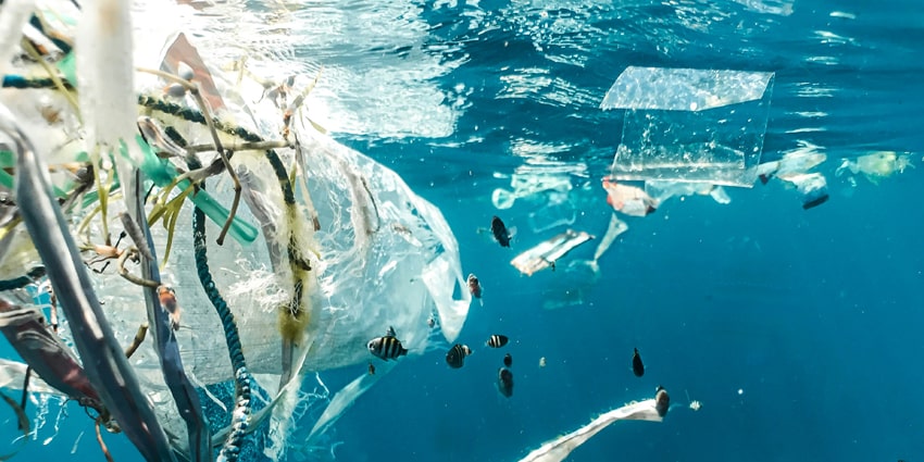 Environmental-Compliance-Services.jpg